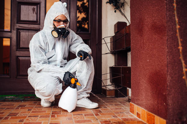 Reliable Ant Control contractor in Winston, OR by Show Me Pest Control